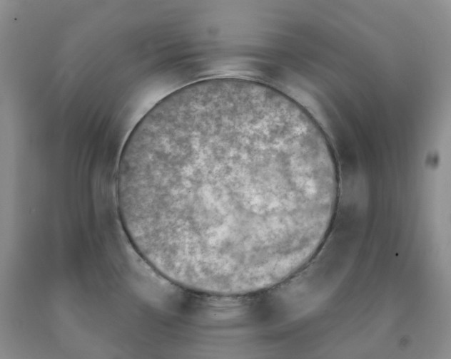 X0000092011338200709201522