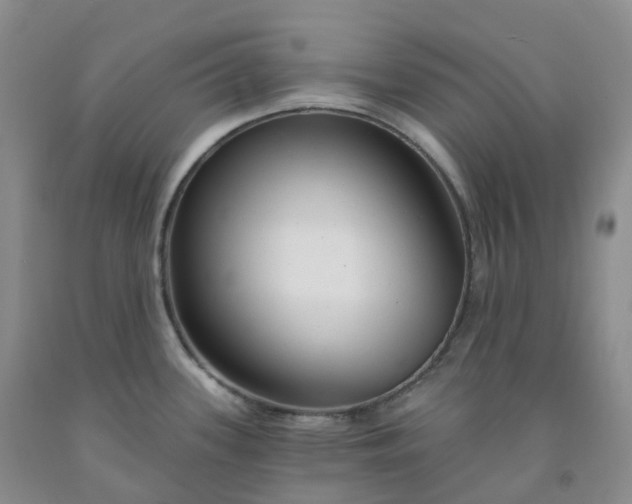X0000092011339200709201522