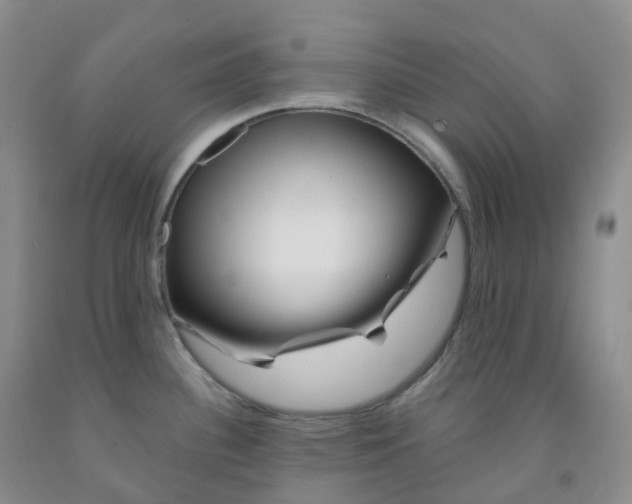 X0000092011340200709201522
