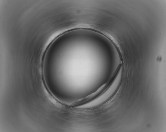 X0000092011342200709201522