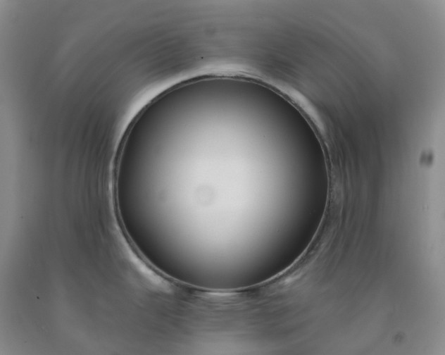 X0000092011343200709201522