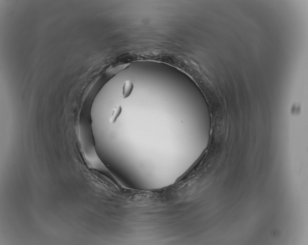 X0000092011345200709201521