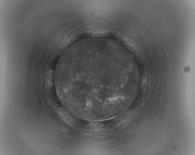 X0000092011346200709201521