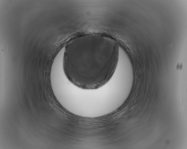 X0000092011348200709201521