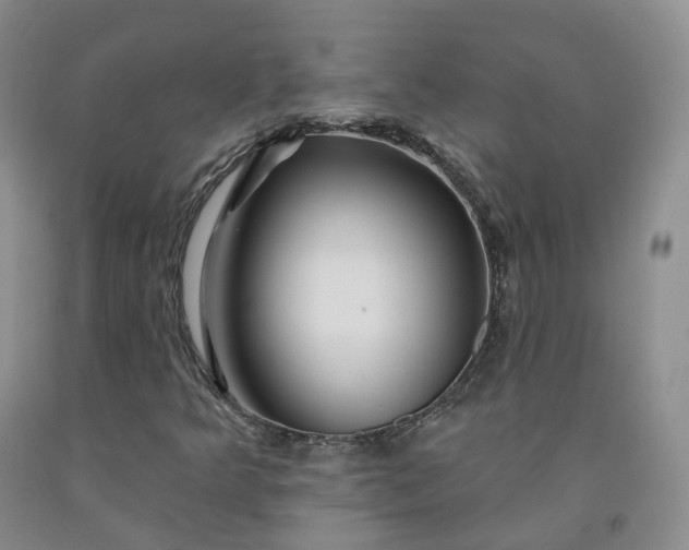 X0000092011349200709201521