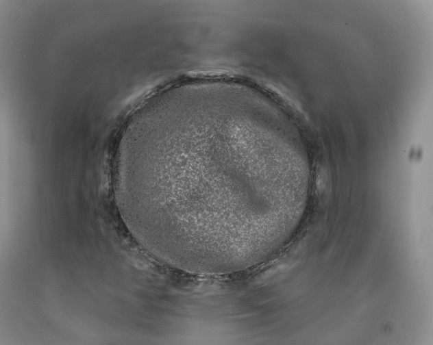 X0000092011350200709201521
