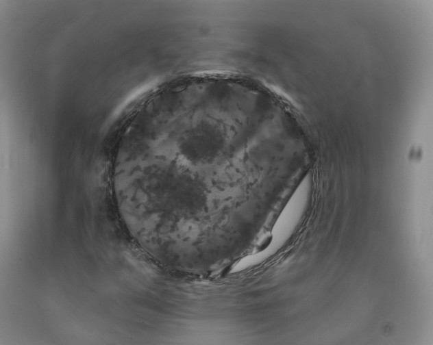 X0000092011351200709201521
