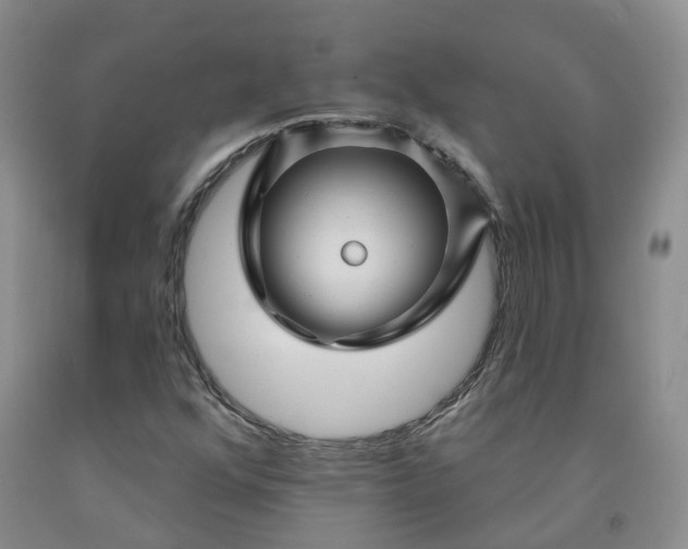 X0000092011352200709201521