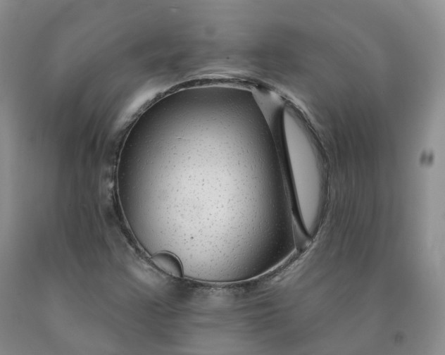 X0000092011355200709201521