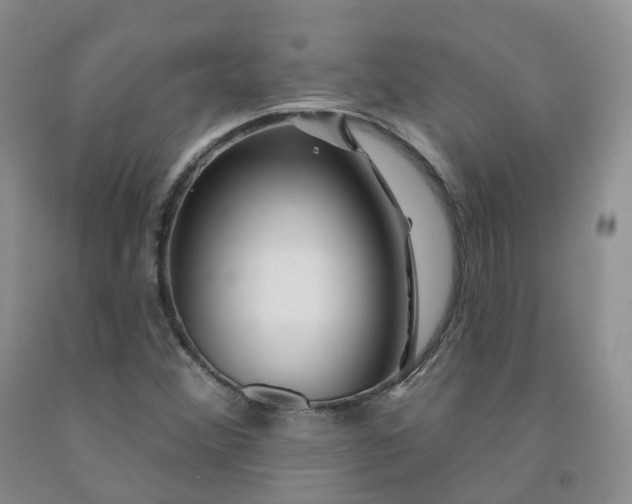 X0000092011356200709201521