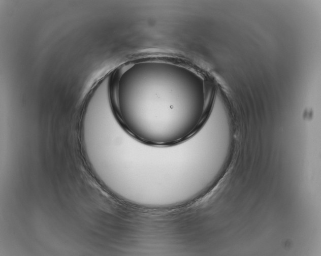 X0000092011357200709201521