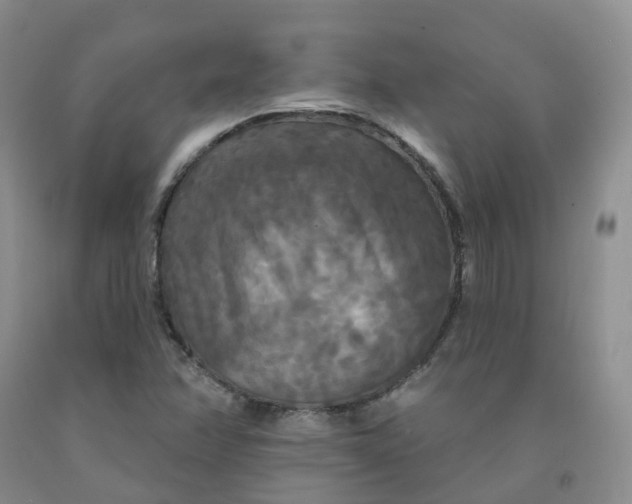X0000092011358200709201521