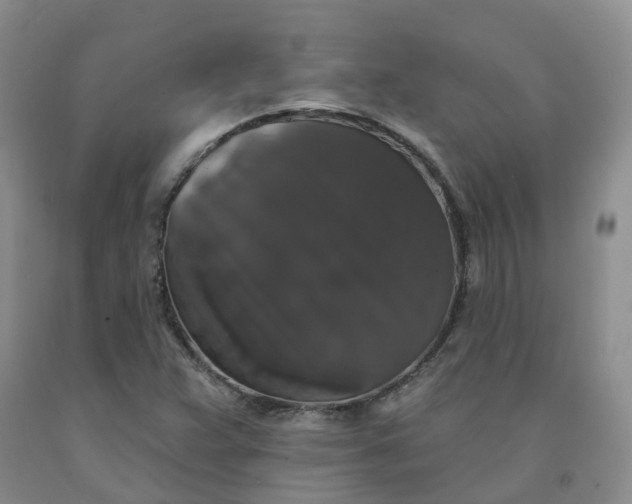 X0000092011359200709201521