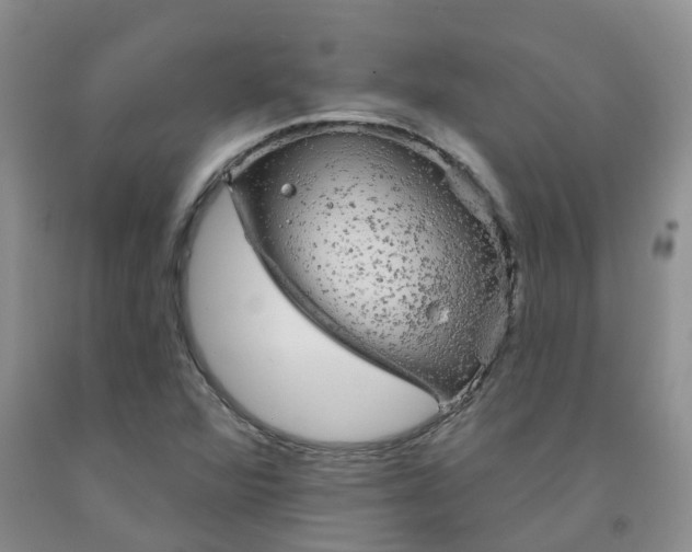 X0000092011360200709201521