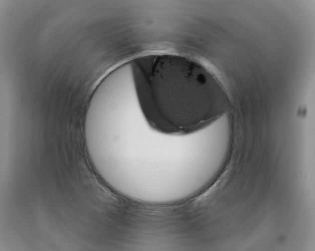 X0000092011361200709201521