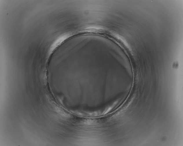 X0000092011362200709201521