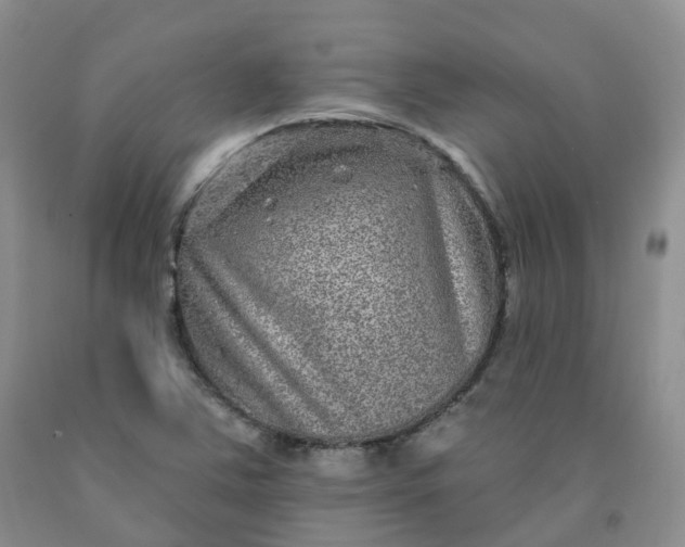 X0000092011363200709201521