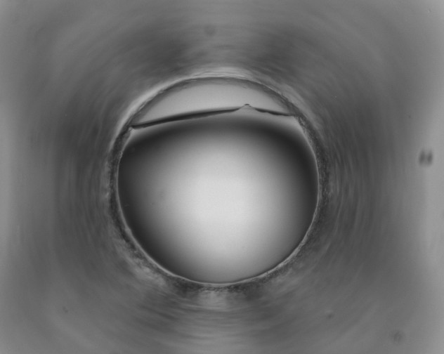 X0000092011364200709201521