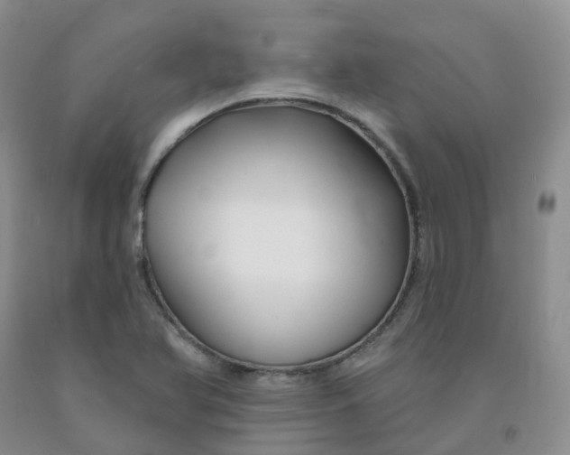 X0000092011366200709201521