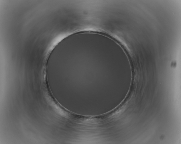 X0000092011367200709201521