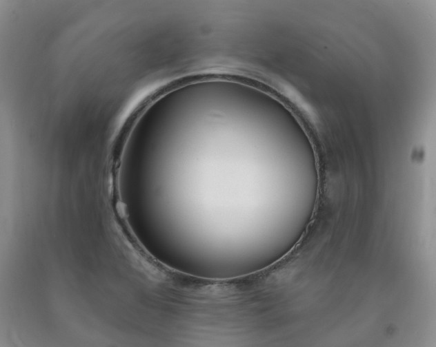 X0000092011368200709201521