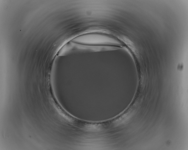 X0000092011369200709201521