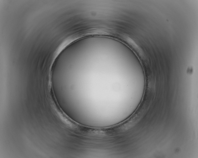 X0000092011370200709201521