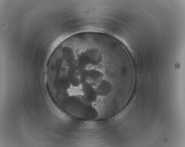 X0000092011371200709201521