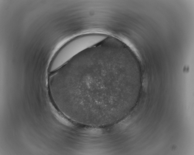 X0000092011372200709201521
