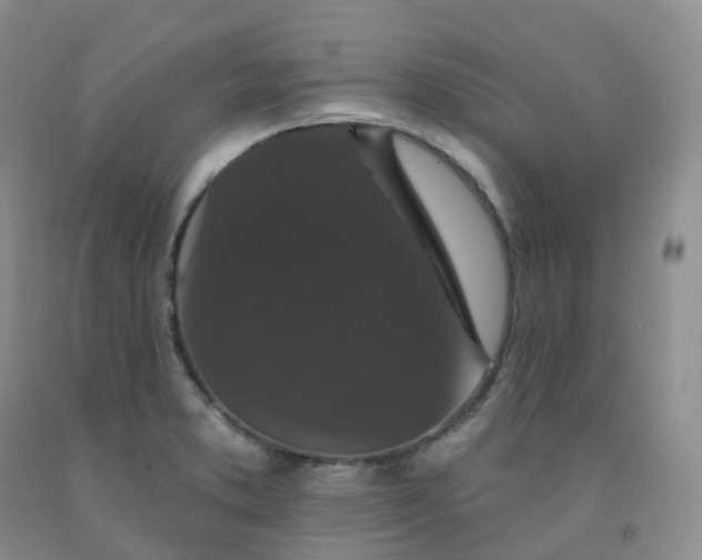 X0000092011373200709201521