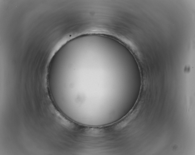 X0000092011374200709201521