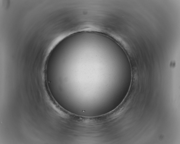 X0000092011375200709201521