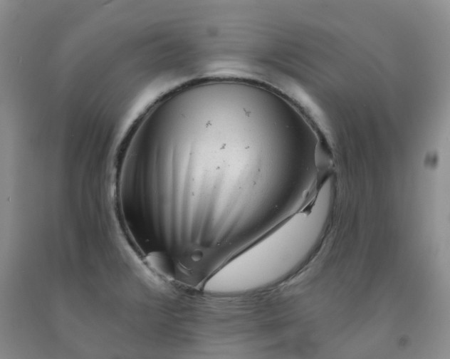 X0000092011376200709201521