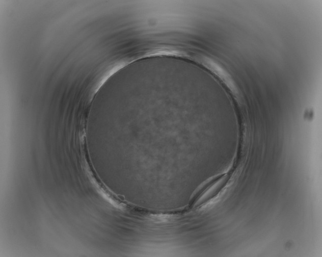 X0000092011377200709201521