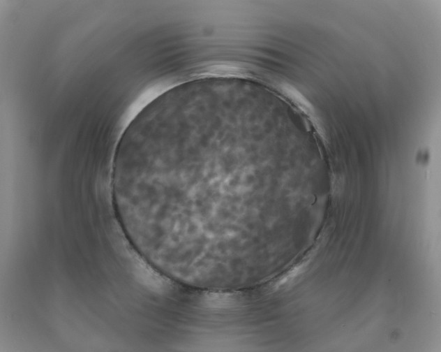 X0000092011378200709201521