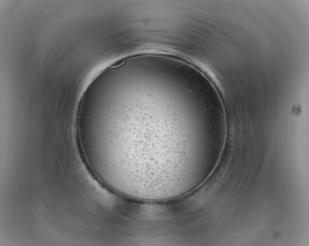 X0000092011379200709201521