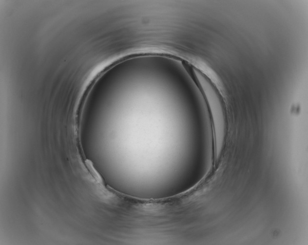 X0000092011380200709201521
