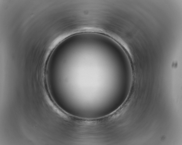 X0000092011381200709201521