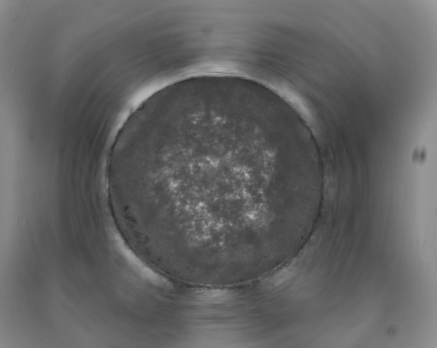X0000092011382200709201521