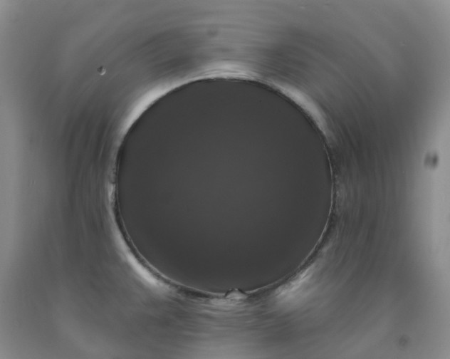 X0000092011383200709201521