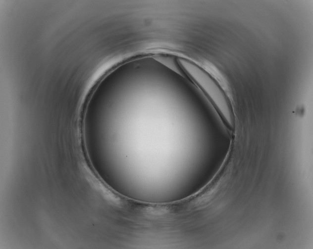 X0000092011384200709201521