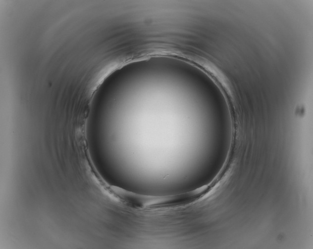 X0000092011385200709201521