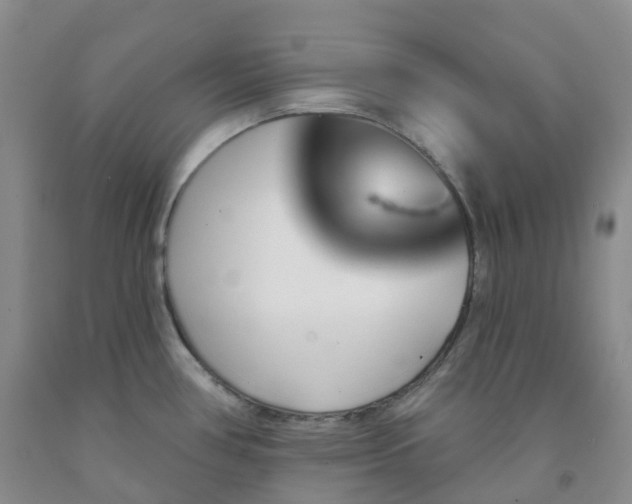 X0000092011386200709201521