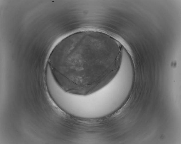 X0000092011388200709201521