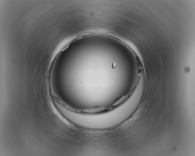 X0000092011389200709201521