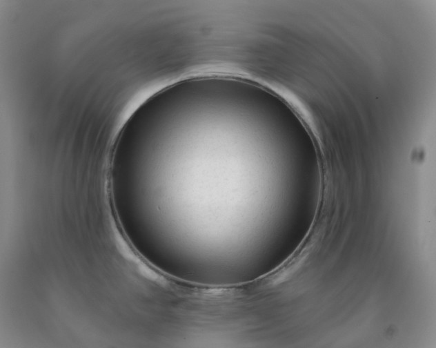 X0000092011390200709201521