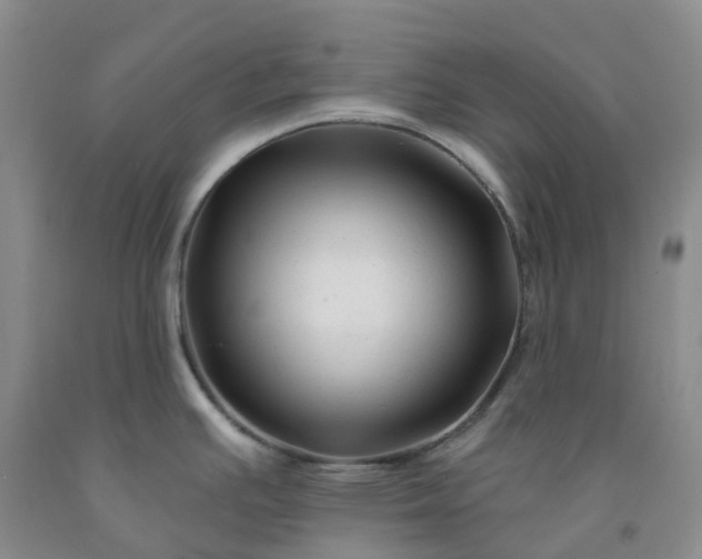 X0000092011391200709201521