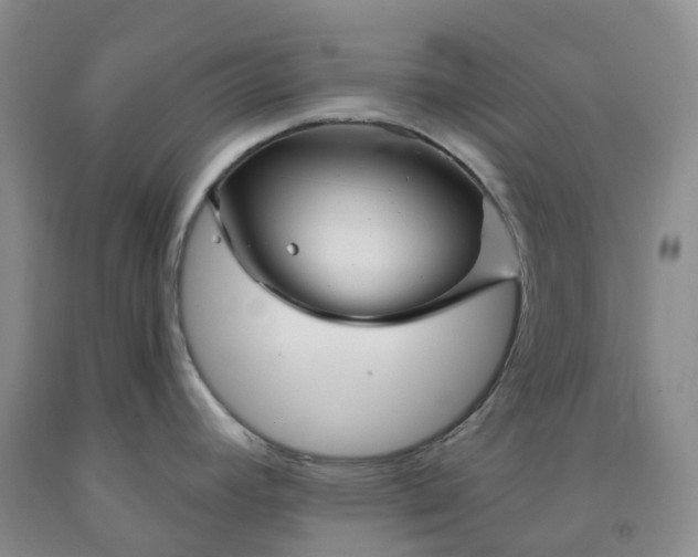 X0000092011392200709201521