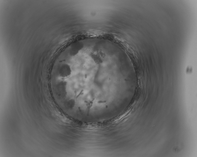 X0000092011393200709201520