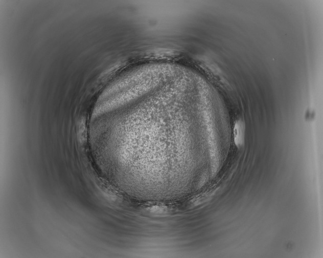 X0000092011395200709201520